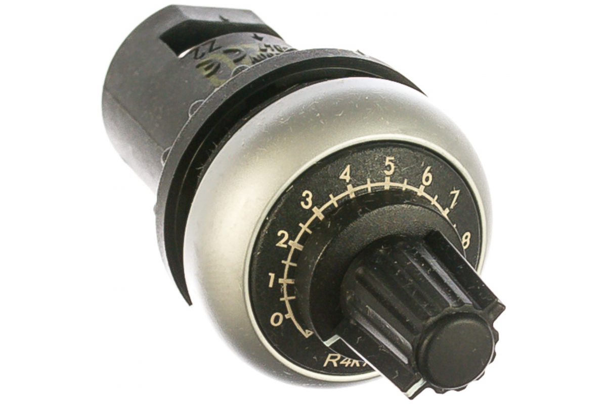 261
